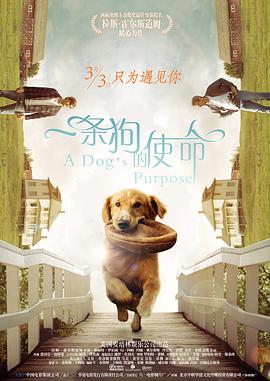 秘书光着伺候老板h