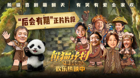 国产亚洲人成网站观看